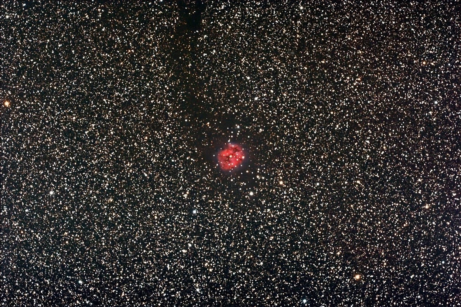 e-astrofotografia-cocoon-nebula-ic5146
